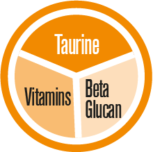 GimCat Multi-Vitamin Tabs