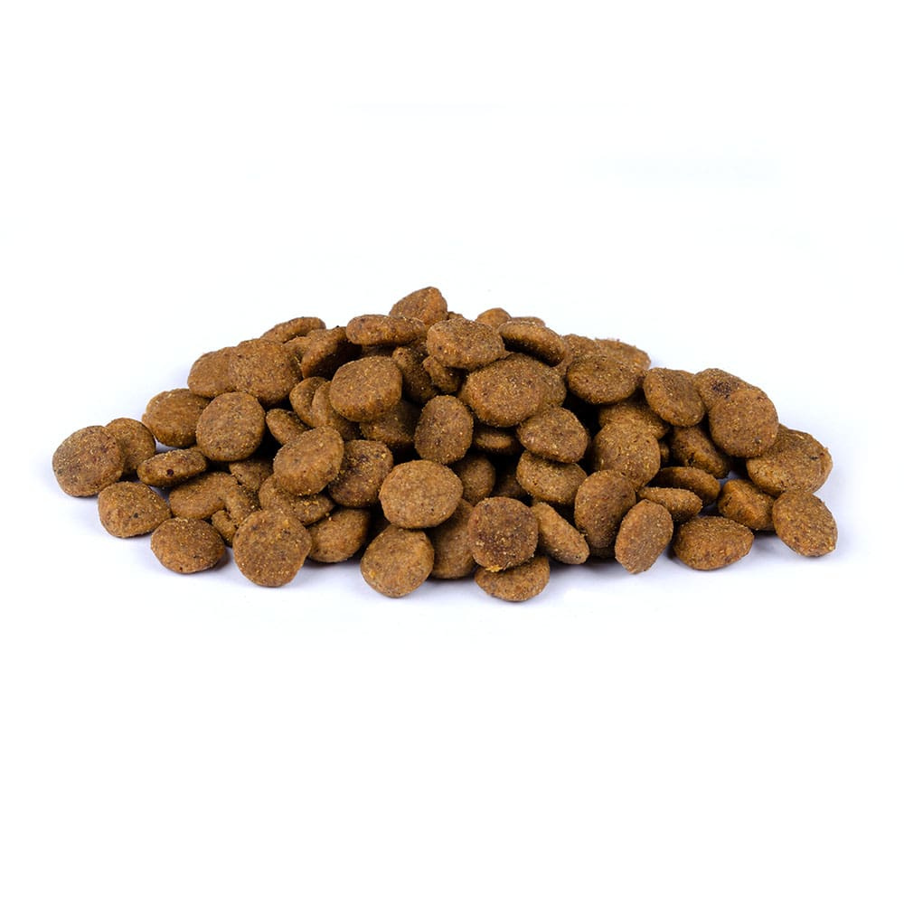 Christopherus - Vegetarische erwt, tapioca met pompoen