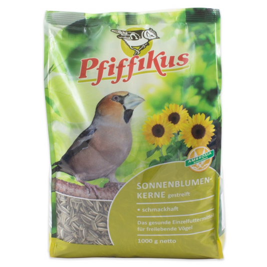 Pfiffikus-zonnebloempitten