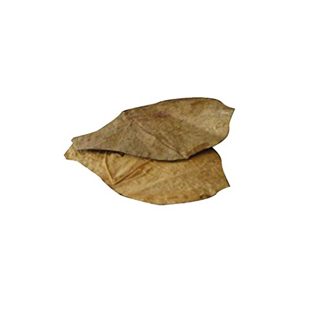 Dennerle Nano Catappa Leaves 12 Stück - PETRADO – PETRADO®