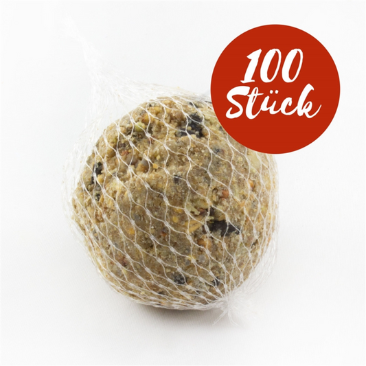 Pfiffikus 100 vetbollen met net